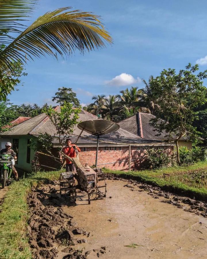 Tetebatu Mountain View Homestay Exterior foto