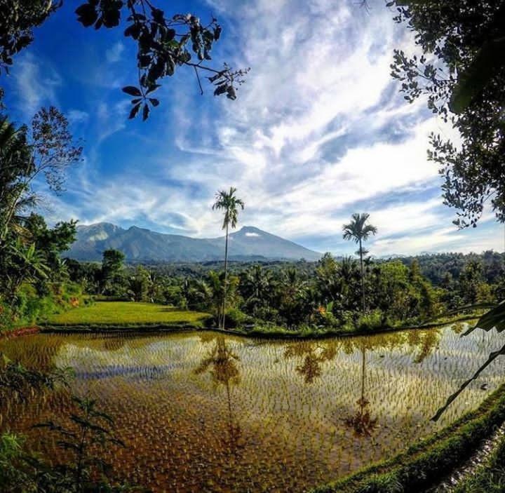 Tetebatu Mountain View Homestay Habitación foto